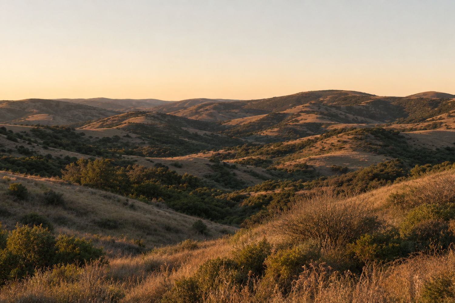 Valley Center neighborhood spotlight